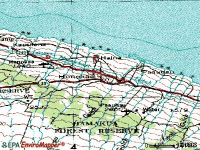 Honokaa topographic map