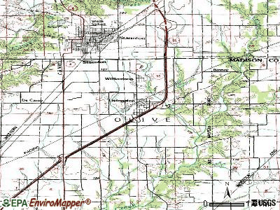 Livingston topographic map