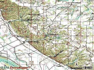 Maeystown topographic map