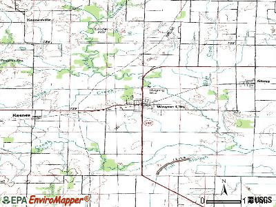 Wayne City topographic map
