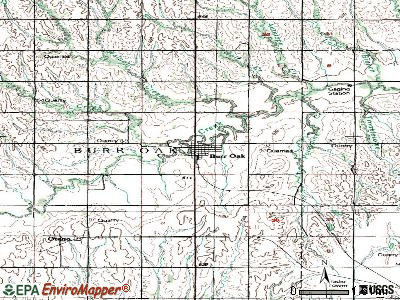 Burr Oak topographic map