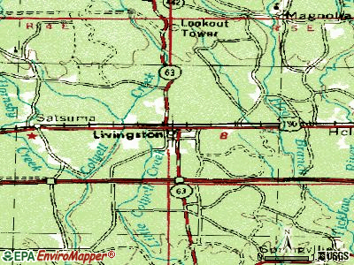 Livingston topographic map