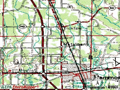 Natalbany topographic map