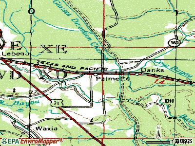 Palmetto topographic map