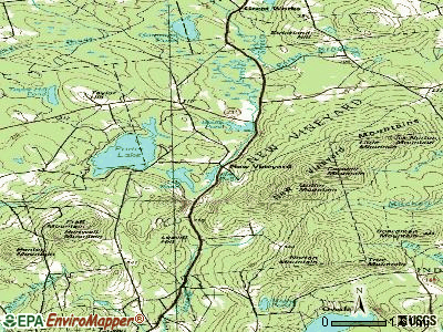 New Vineyard topographic map