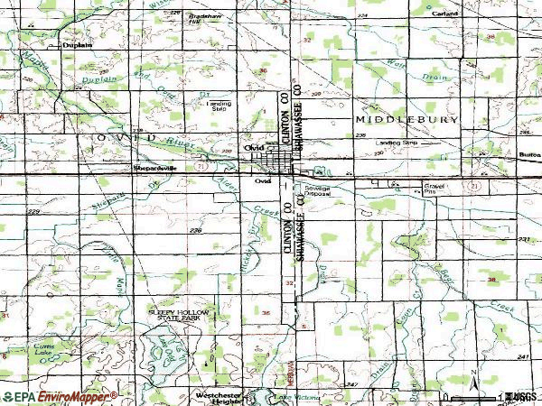 Zip code 48866 topographic map