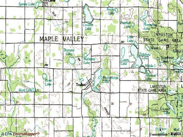 Zip code 49347 topographic map