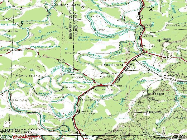 Zip code 39169 topographic map