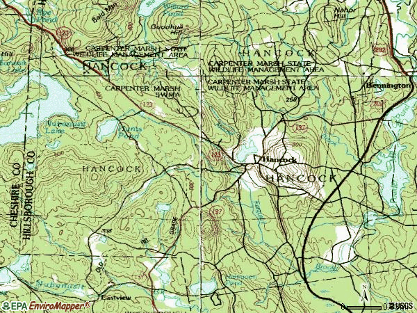 Zip code 03449 topographic map