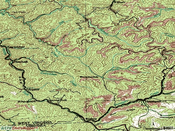 Zip code 24884 topographic map