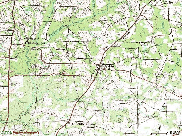 Zip code 31738 topographic map