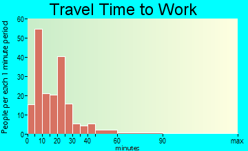 Berrien Springs travel time to work - commute
