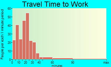 Birch Run travel time to work - commute