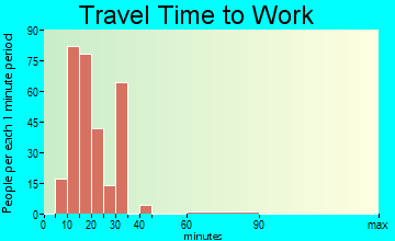 Buena Vista travel time to work