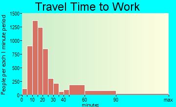 Flint travel time to work - commute