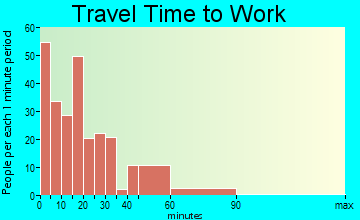 Fowlerville travel time to work - commute