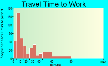Greenville commuting: travel time to work