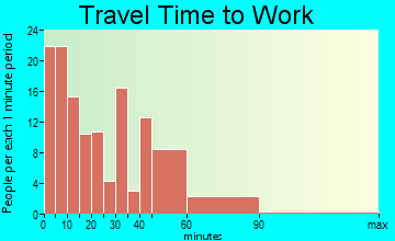 Newaygo travel time to work - commute