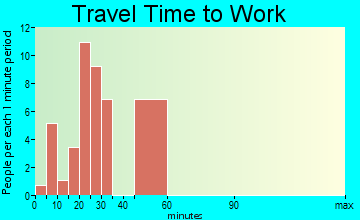 Palmer travel time to work