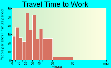 Pinckney travel time to work - commute