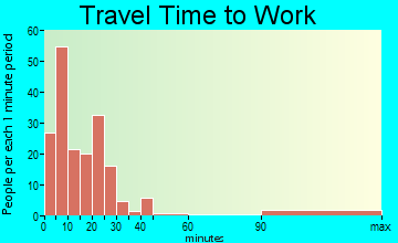 Reed City travel time to work - commute