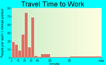 Williamson travel time to work - commute