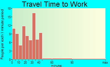 Houston travel time to work - commute