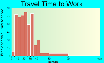 Medina travel time to work