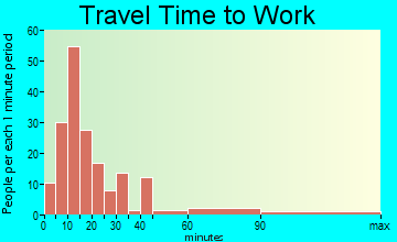 Bourbon travel time to work - commute