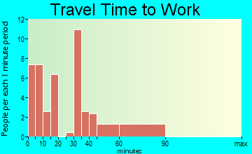 Diamond City travel time to work - commute