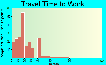 Horine travel time to work