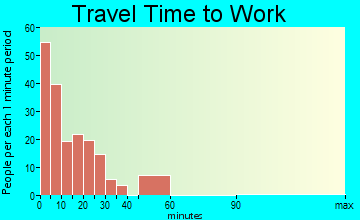 Houston travel time to work - commute