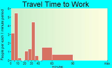 Custer travel time to work - commute