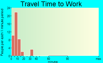 Plains travel time to work