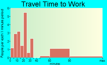 Houston travel time to work