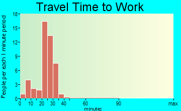 Meadow Grove commuting: travel time to work