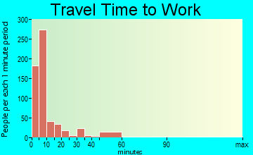 Wayne travel time to work - commute