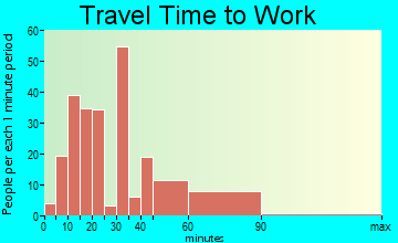 Lake Success travel time to work - commute
