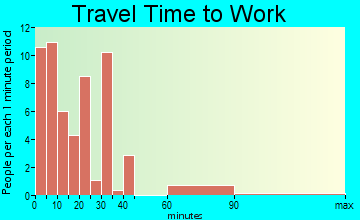 Narrowsburg commuting: travel time to work