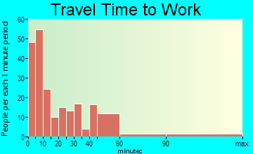 Pulaski travel time to work - commute