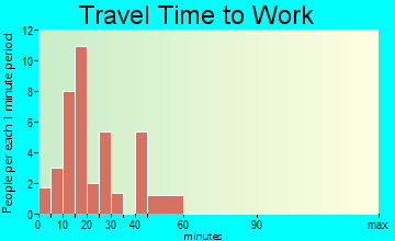 Micro travel time to work
