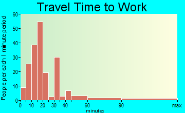 Pine Level travel time to work