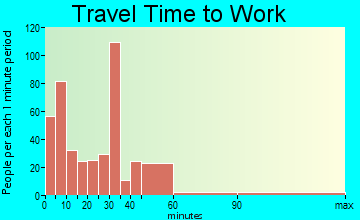 Wellington travel time to work