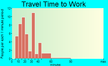 Johnson City travel time to work
