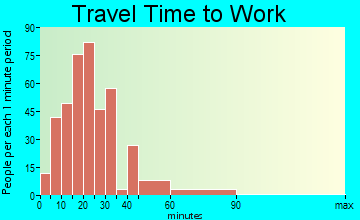 Ingram travel time to work
