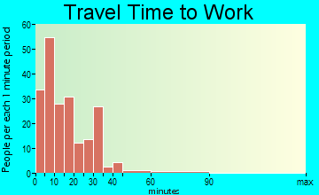 Ferndale travel time to work - commute