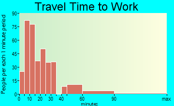 Selinsgrove travel time to work - commute