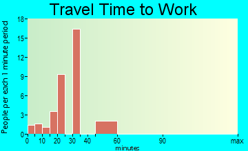 Greenville commuting: travel time to work