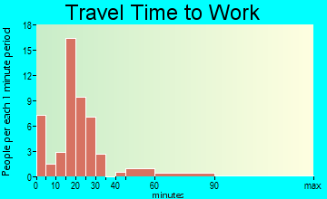 Cameron travel time to work - commute