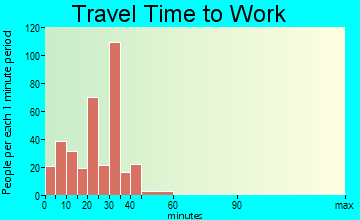 Williamston travel time to work